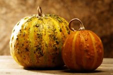 Pumpkin Still Life Stock Image Pumpkin Still Life Stock Image