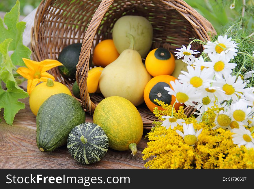 Still Life with Assorted Gourds