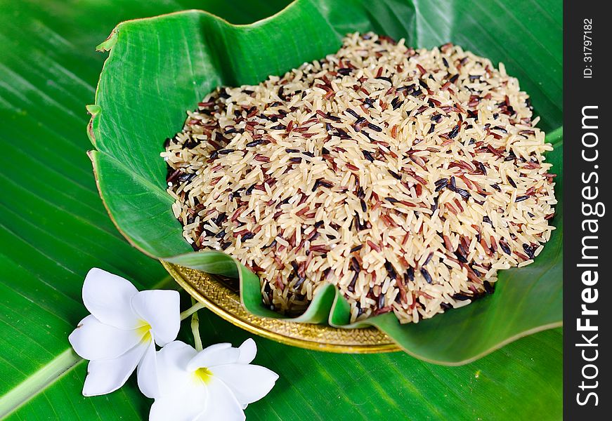 Mixed of high nutrient organic rice