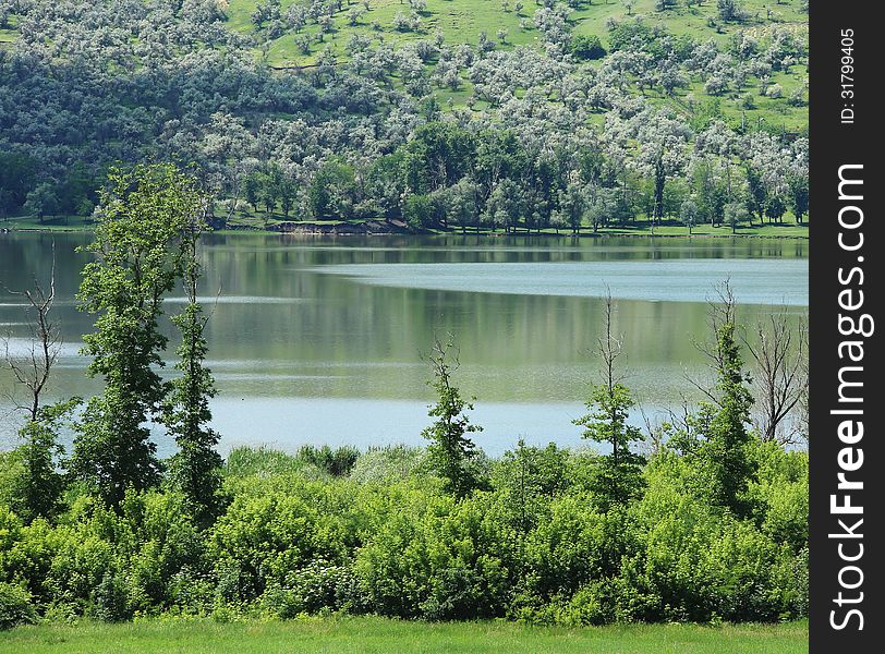 A summer lake near the hill. Without sky.