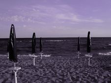 Purple Beach Stock Photography
