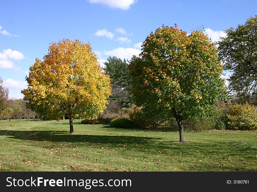 A beautiful fall day with trees turning color and dark clouds