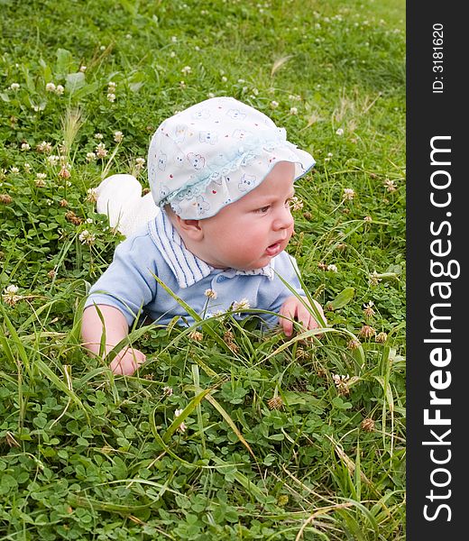 Baby on the clover meadow