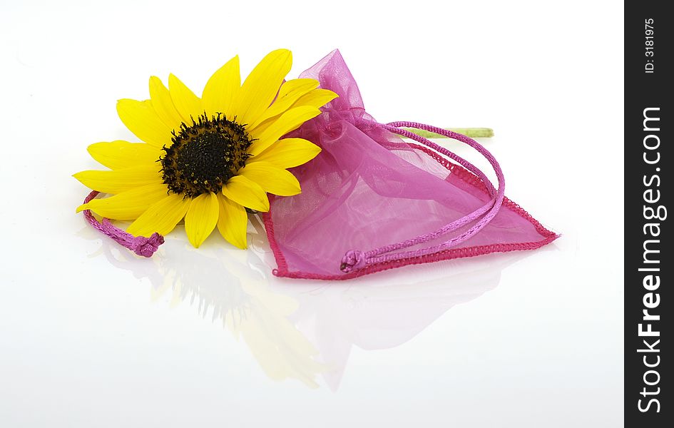 Sunflower With Gift Bag