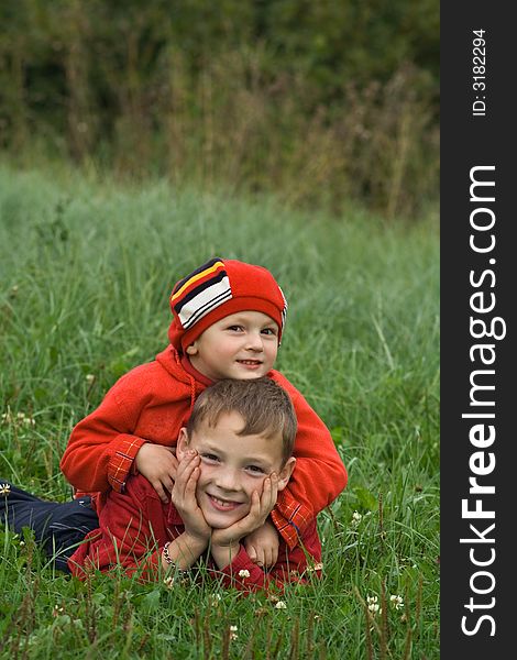 Two brothers roll on a green grass. Two brothers roll on a green grass