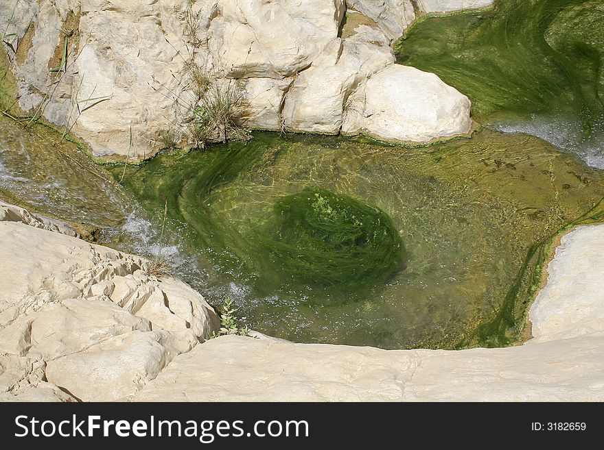 Desert oasis in the dead sea region