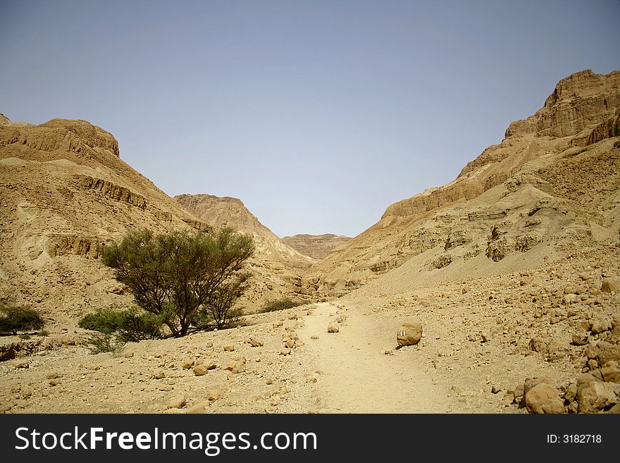 Desert landscape in the dead sea region