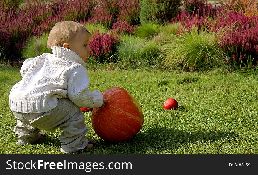 Baby infant with pumpkin on the green grass. Baby infant with pumpkin on the green grass