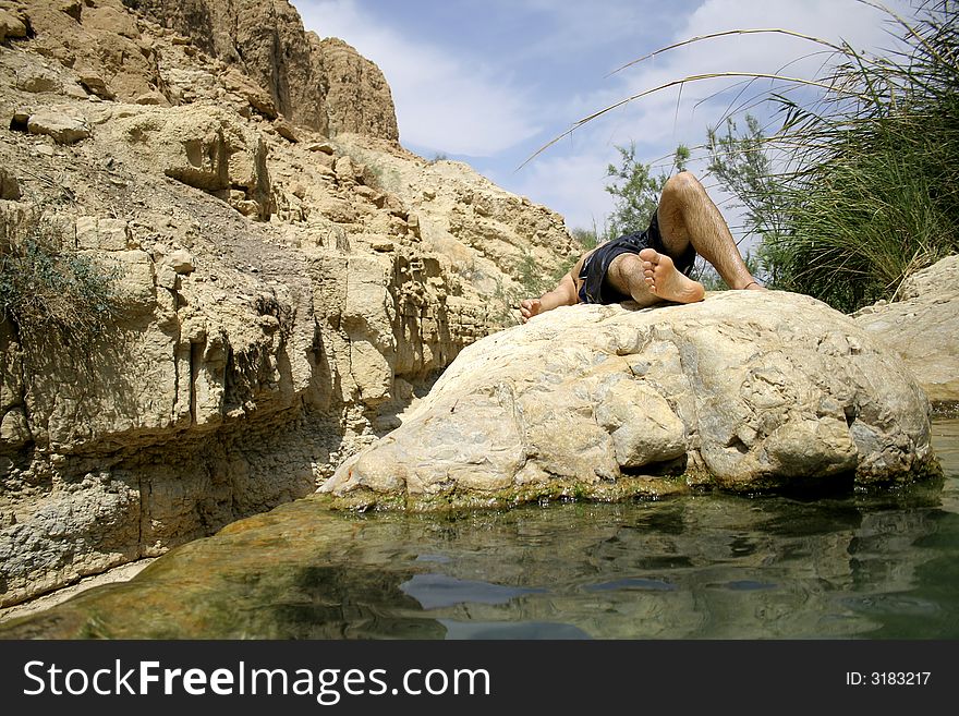 Desert oasis in the dead sea region