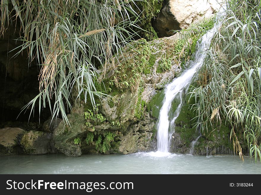 Desert oasis in the dead sea region