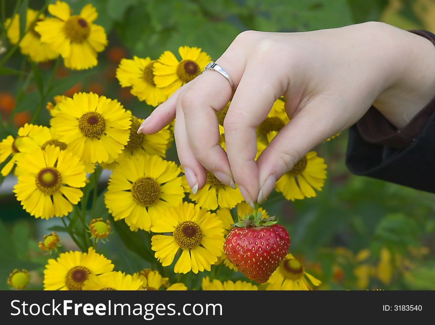 Hand with single strawberry