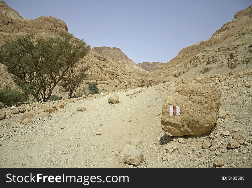 Desert landscape in the dead sea region