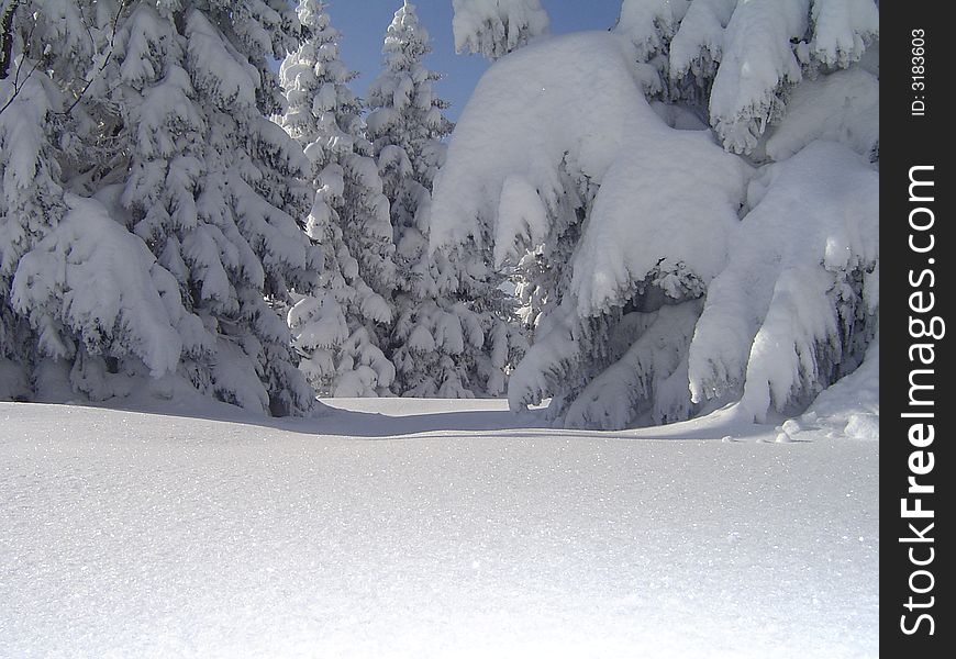 Beauty of winter in slovenian mountains. Beauty of winter in slovenian mountains