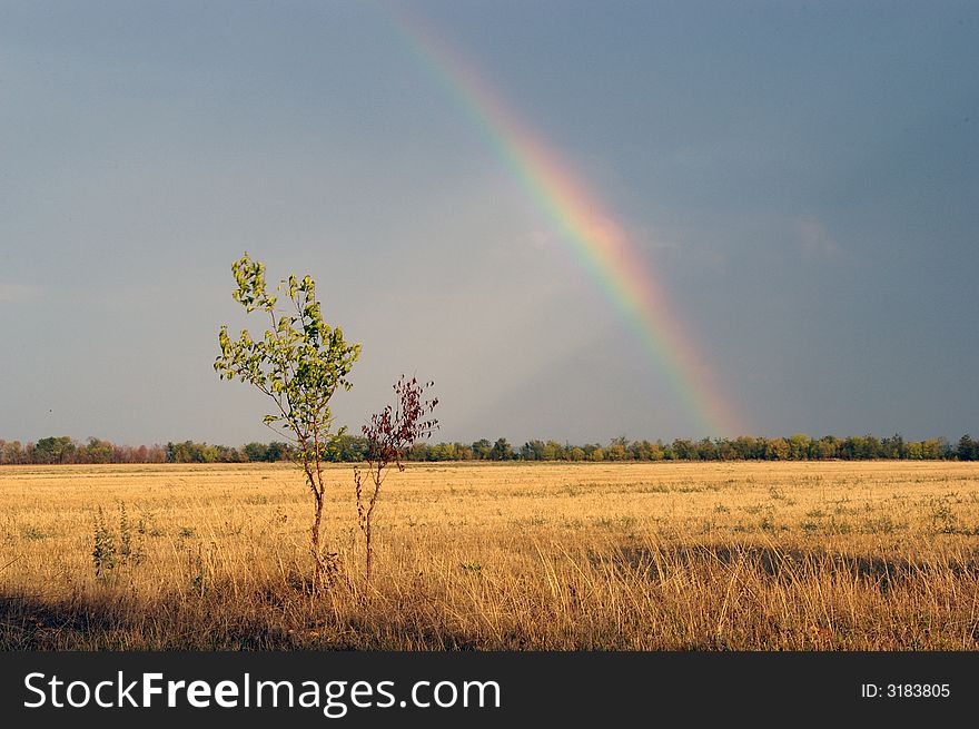 Rainbow in the autumn field. Rainbow in the autumn field