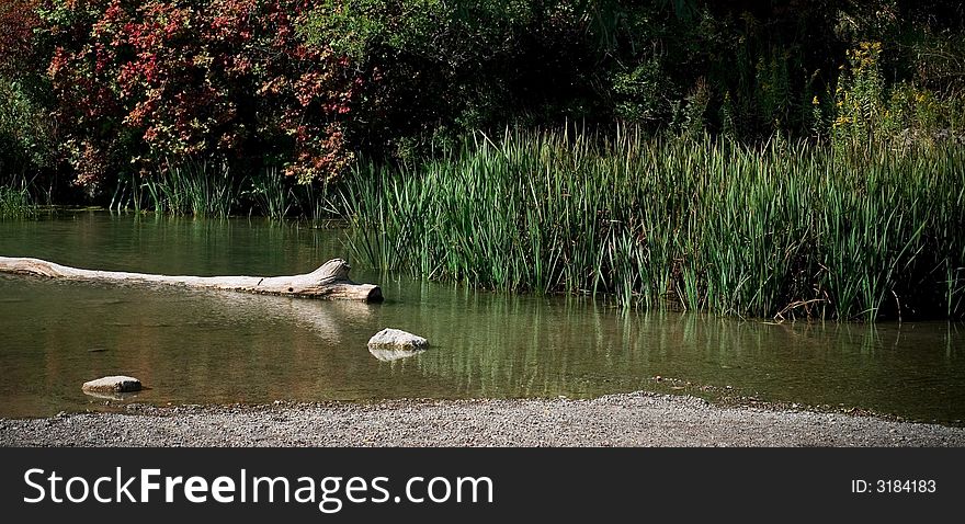 The pond of all afternoon 2