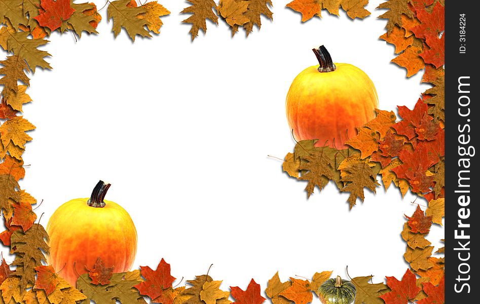 Colorful fall leaves and pumpkins on a white flat background. Colorful fall leaves and pumpkins on a white flat background