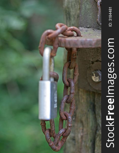 An old rusty chain on a gate with a new lock. An old rusty chain on a gate with a new lock