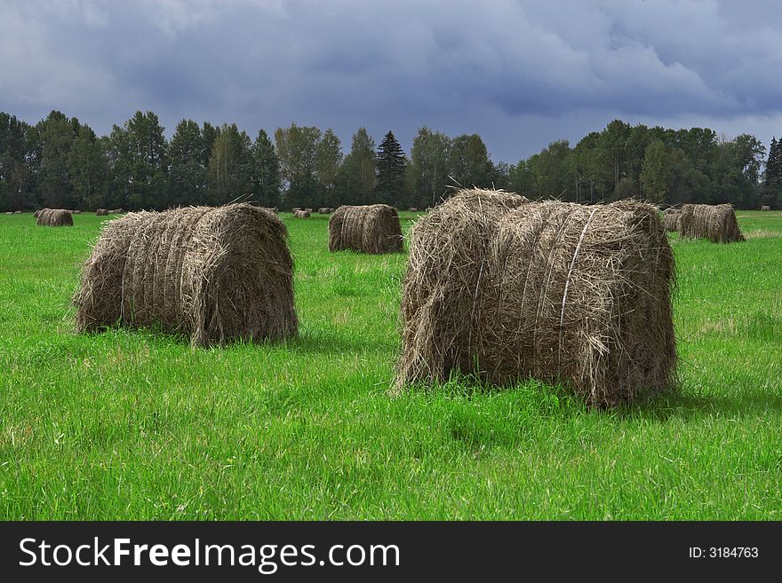 The hay bales on a green grass