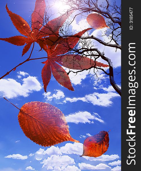 Artistic composition with falling leaves over blue sunny sky. Artistic composition with falling leaves over blue sunny sky