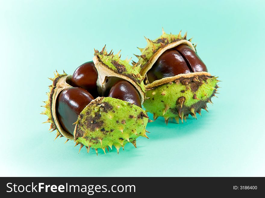 Chestnuts on a green background.