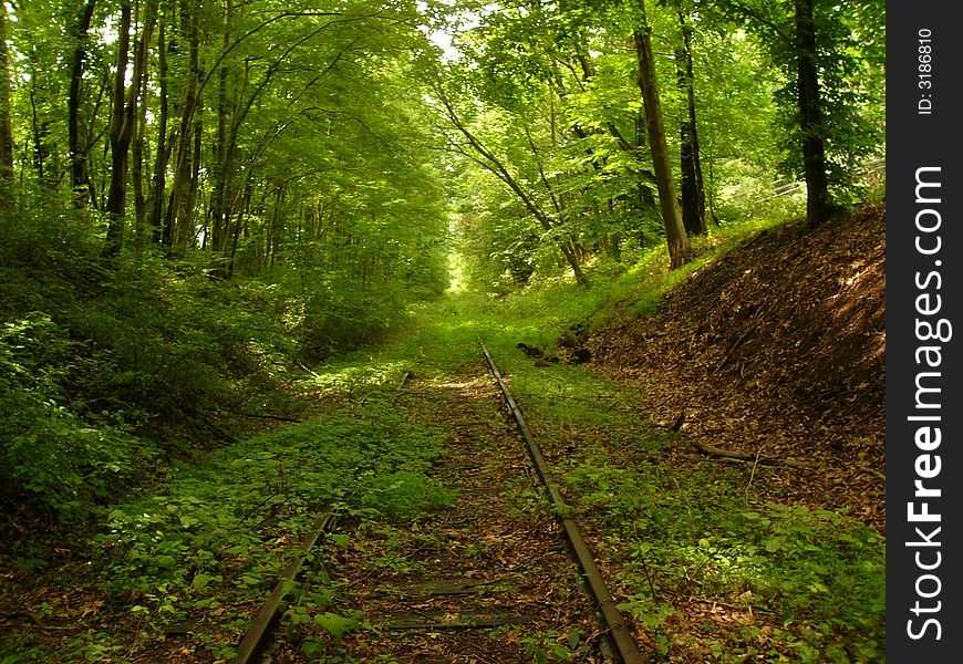 This is a railroad that appears to get little usage next to the Curchville Nature Reserve. This is a railroad that appears to get little usage next to the Curchville Nature Reserve.