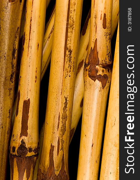 Dried bamboo background, with several sticks of bamboo some fairy straight and some at an angle