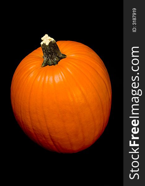 Orange pumpkin with stem on a black background. Orange pumpkin with stem on a black background