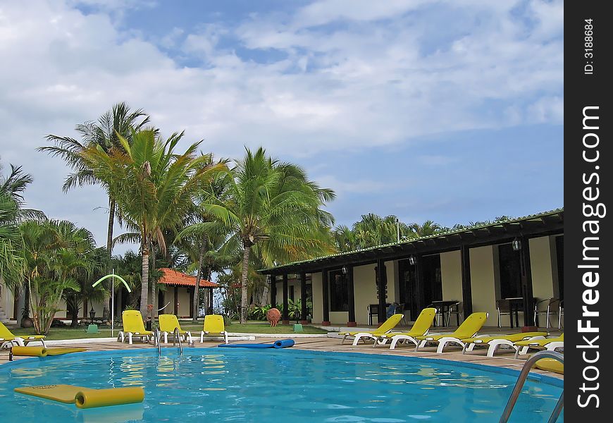 Swimming pool cuba palm tree