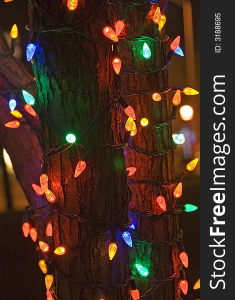 Outdoor x-mas lights on a tree