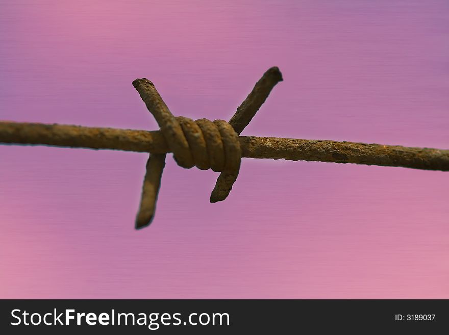 Barb wire close up rust