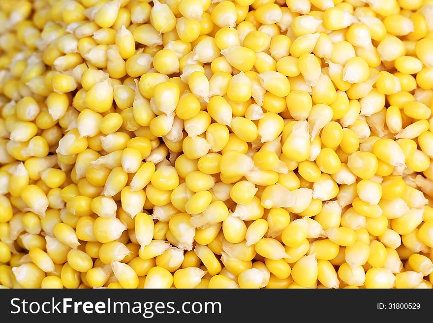 Sweet corns background or texture