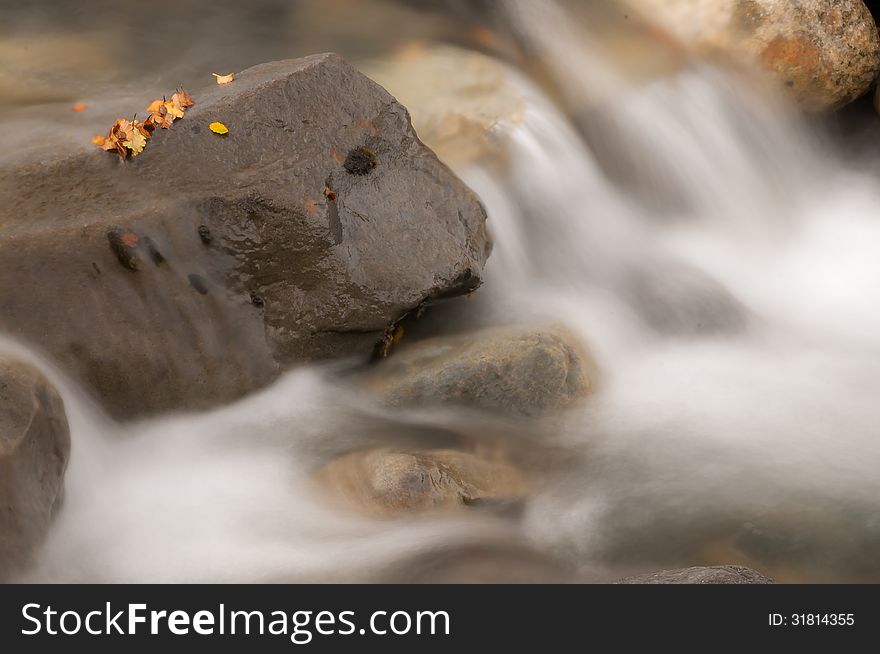 Clear water with orange leaves