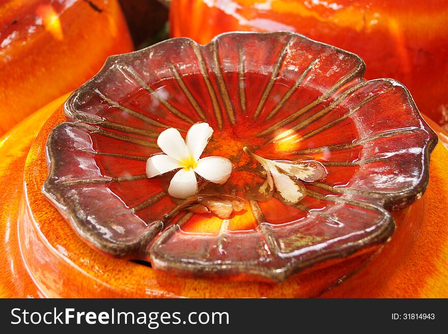 Templetree or flower on the bowl with orange