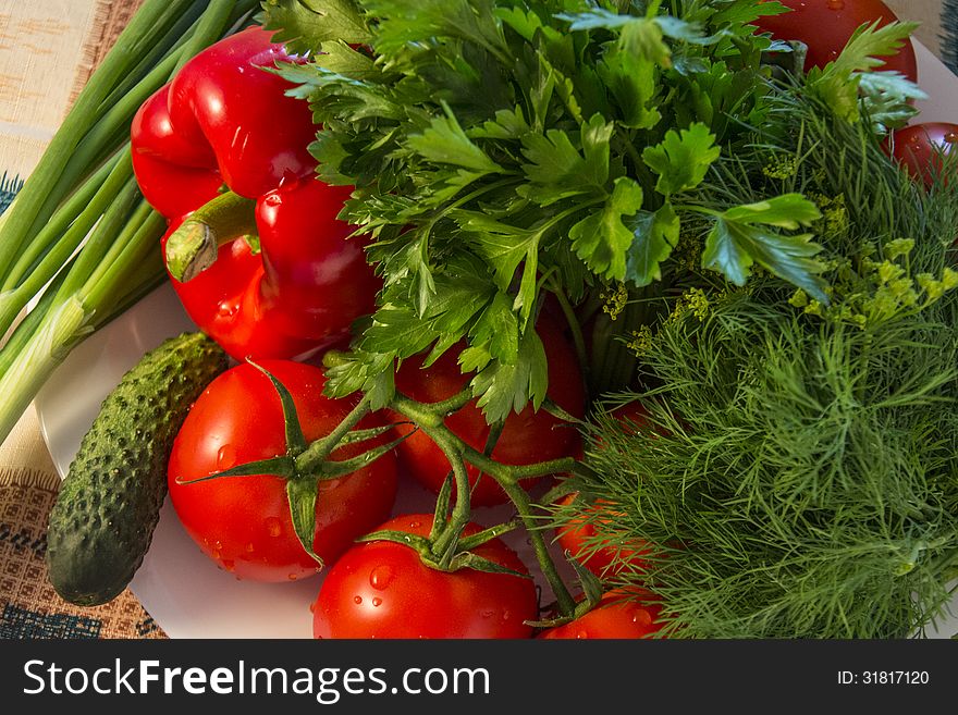 Salad ingredients. Fresh and tasty vegetables: tomatoes, red paprika, cucumbers, green dill, parsley and spring onions. Salad ingredients. Fresh and tasty vegetables: tomatoes, red paprika, cucumbers, green dill, parsley and spring onions.