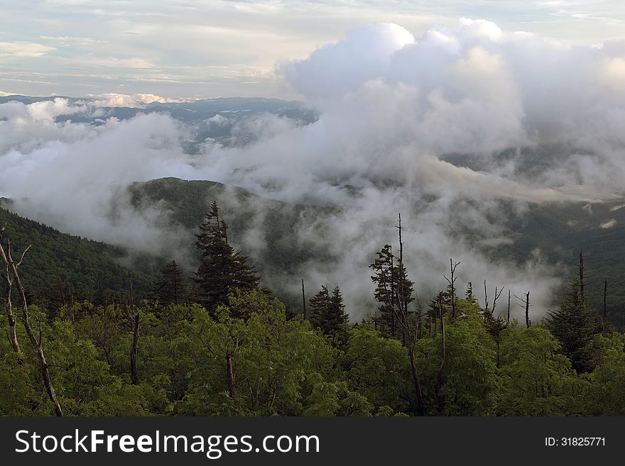 This is an evening image of part of the Great Smoky Mountain National Park with low hanging clouds. This is an evening image of part of the Great Smoky Mountain National Park with low hanging clouds.