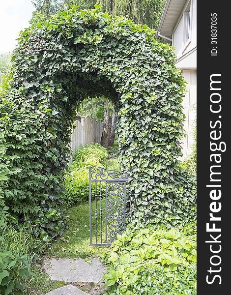 An arch doorway made with ivy on the side of a house. An arch doorway made with ivy on the side of a house.