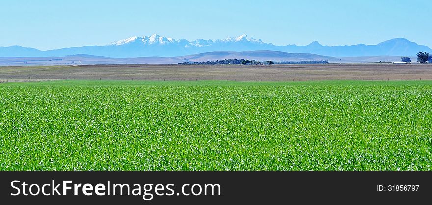 Landscape with green field and Ceres Mountains. Landscape with green field and Ceres Mountains