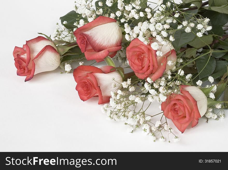 Bouquet of roses on white background