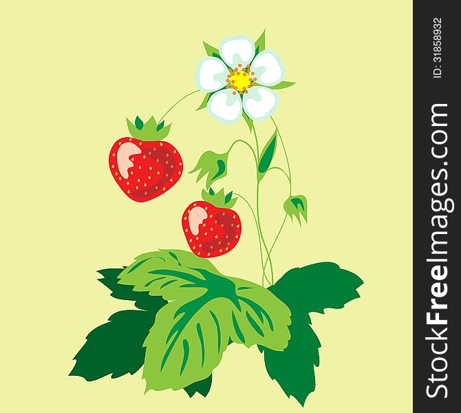 Red tasty strawberries and flower. Red tasty strawberries and flower