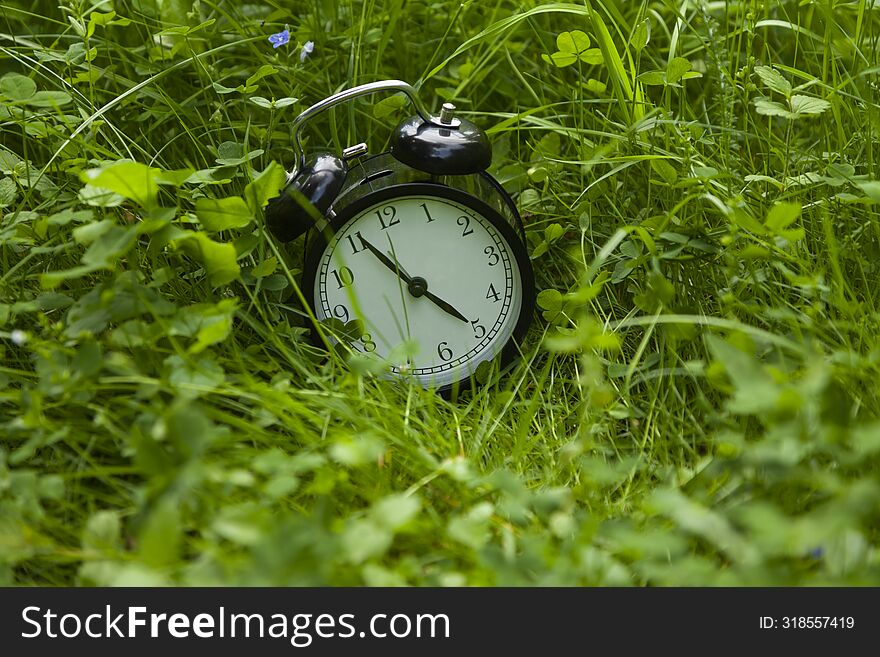 Alarm clock in green grass. Summer time.