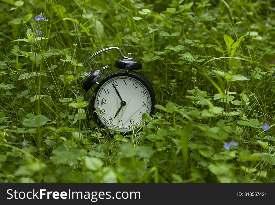 Alarm clock in green grass. Summer time.