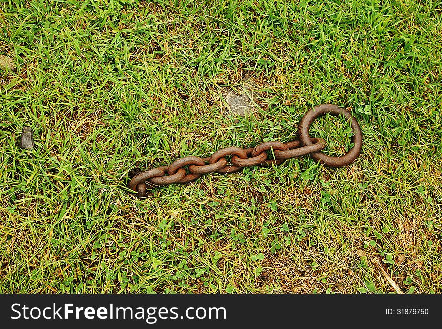 A chain coming out of the ground in the grass. A chain coming out of the ground in the grass