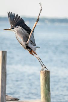 Take Off Royalty Free Stock Images Take Off Royalty Free Stock Images
