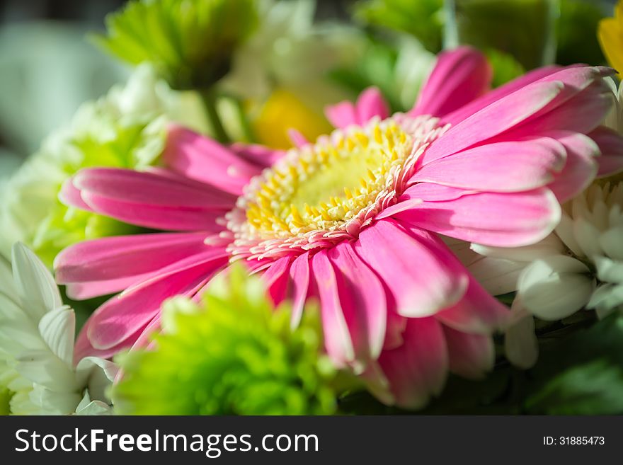 Bouquet of beautiful flowers under the light. Bouquet of beautiful flowers under the light