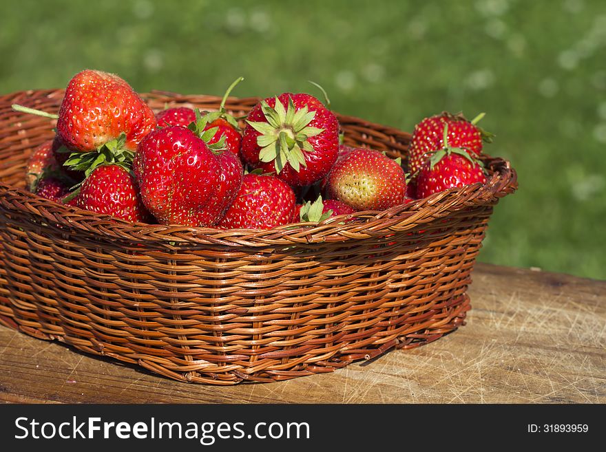 Strawberries or Raspberries cantaloupe lat. Fragária moschátaa.
