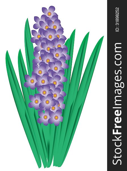 A spike of purple flowers isolated on a white background