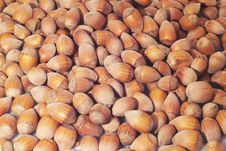 Food Background With Hazelnuts Stock Photo Food Background With Hazelnuts Stock Photo