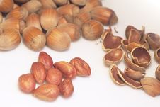 Food Background With Hazelnuts Stock Photo Food Background With Hazelnuts Stock Photo