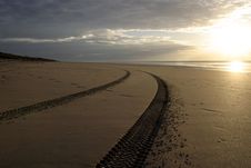 Tracks On A Beach Royalty Free Stock Photo Tracks On A Beach Royalty Free Stock Photo