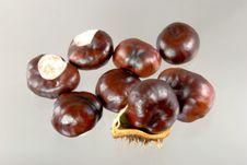Chestnuts. A Close Up Shot Stock Images Chestnuts. A Close Up Shot Stock Images